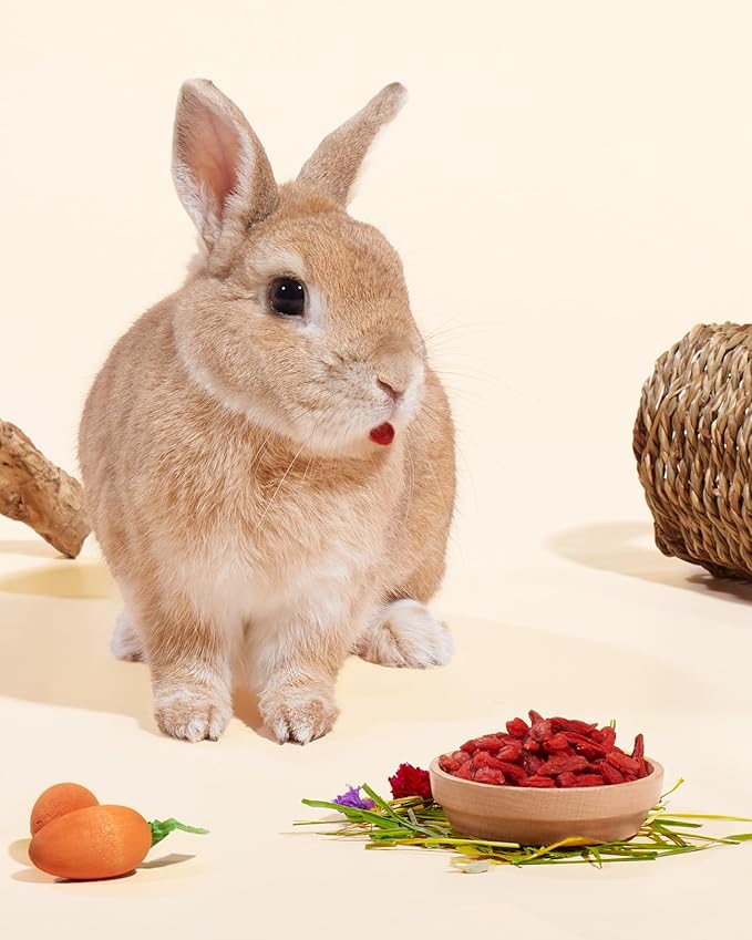 Niteangel Goji Berries Rabbits Snack Treats: 12pcs Natural Chew Toys for Bunny Chinchilla Guinea Pigs and Other Small Animals