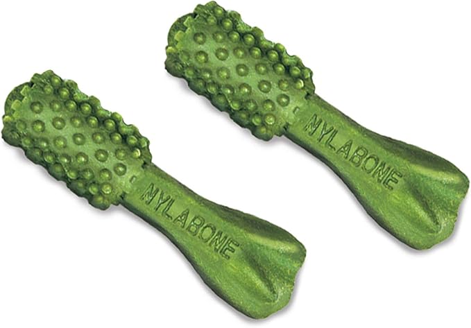 Nylabone Nutri Dent Dog Dental Chews, Natural Teeth Cleaning Treats & Breath Freshener for Dogs, Fresh Mint Flavor, Mini (78 Count)