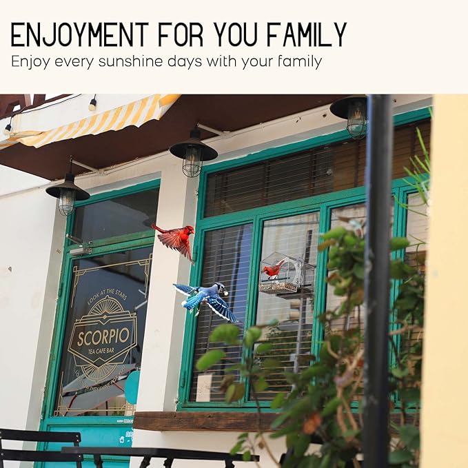 Mrcrafts Window Bird Feeder for Outside with Strong Suction Cups, Fits for Cardinals, Finches, Chickadees etc.