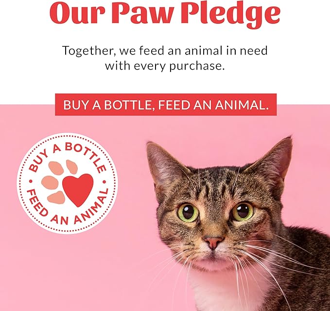 Skout's Honor Unscented Probiotic Cat Shampoo & Conditioner with Avocado Oil & Omega-3s, 97% Natural, Paraben & Sulfate-Free, Cruelty-Free, 16oz, Fragrance Free