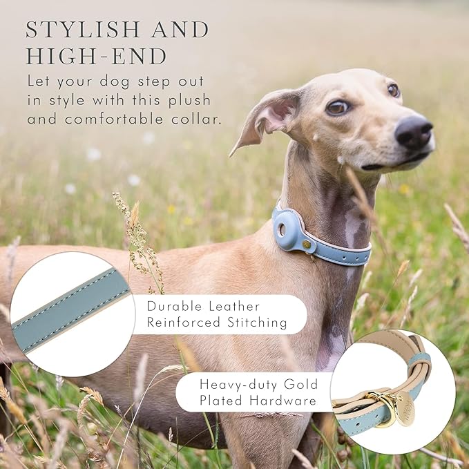 Cupertino Dog Collars, Harnesses & Leashes Made from Vegan Leather with Dog Tracker Device Holder Adjustable Dog Collar - Color Blue, Medium