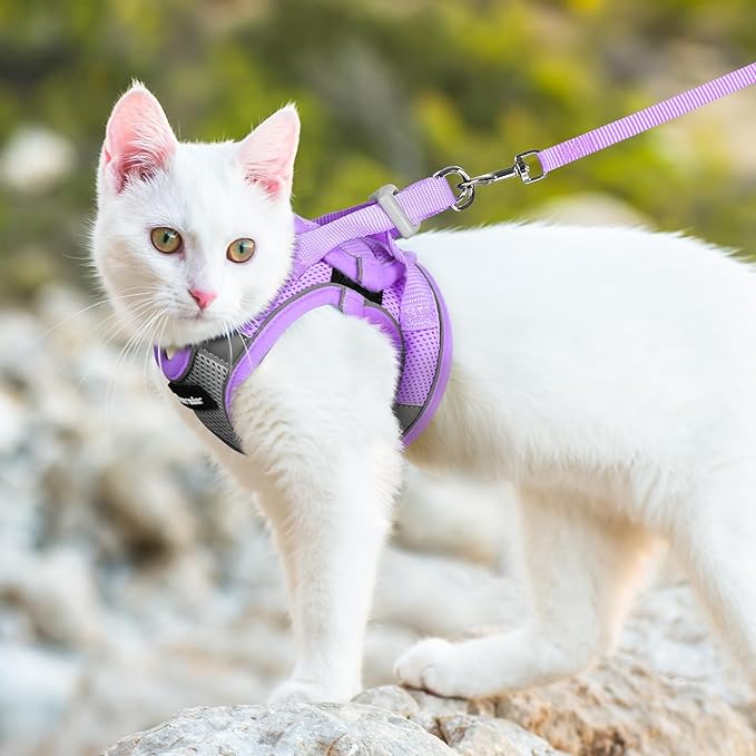 Dooradar Cat Harness and Leash Set, Escape Proof Lightweight Kitten Harness, Soft Breathable Reflective Vest for Outdoor Walking Traveling, Adjustable for Small Cats, Grey & Purple, S