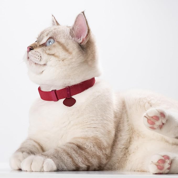 Safety Cat Collar Pro and Tag Set - U.S. IDA Gold Award, Elastic Release Cat Collar Charm Tag, Non Breakaway Cat Collar Adjustable with Charm for Kitten Small Large Cats (Monet Purple, M)