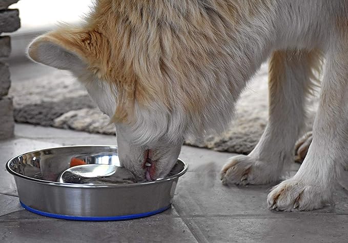 OurPet's Durapet Slow Feed Premium Stainless Steel Dog Bowl, Silver, Large (2040010302)