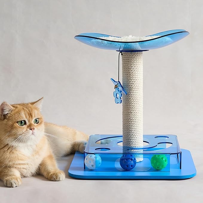 Modern 3-in-1 Interactive Cat Toy with Puzzle Box, Cat Bed/Perch & Scratching Posts, Colorful Jingle Balls, Dangling Accent, Puzzle Toys for Indoor Cats, Acrylic, Blue