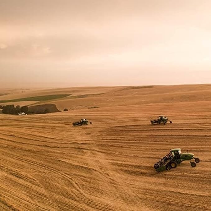 Blue Mountain Hay | Fresh Organic Meadow Hay (15 Ounce) | Mimics Natural Forage | High-Altitude Hay Pet Food for Rabbits, Guinea Pigs, Chinchillas, Hamsters, and Other Small Pets