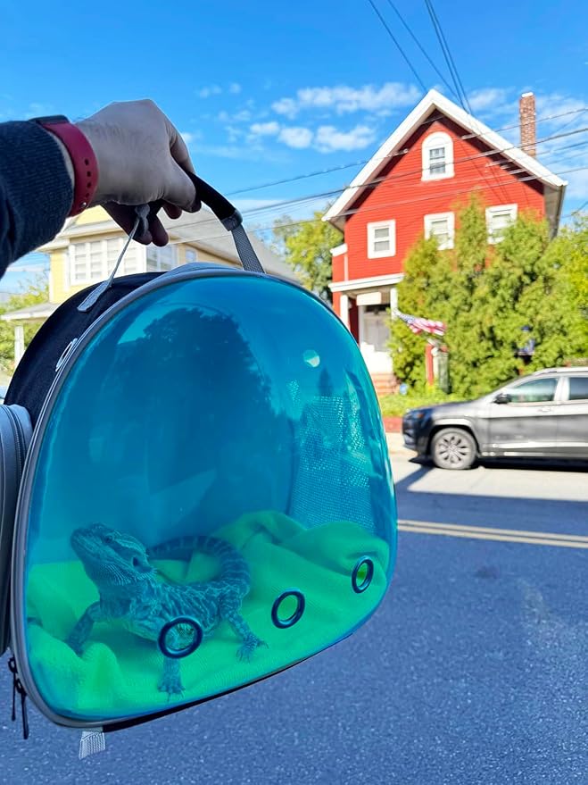 Bearded Dragon Travel Backpack with Harness and Leash Set,Lizard Backpack Travel Carrier,Space Capsule Clear Bubble Window Astronaut Reptile Carrier Backpack, Airline Approved