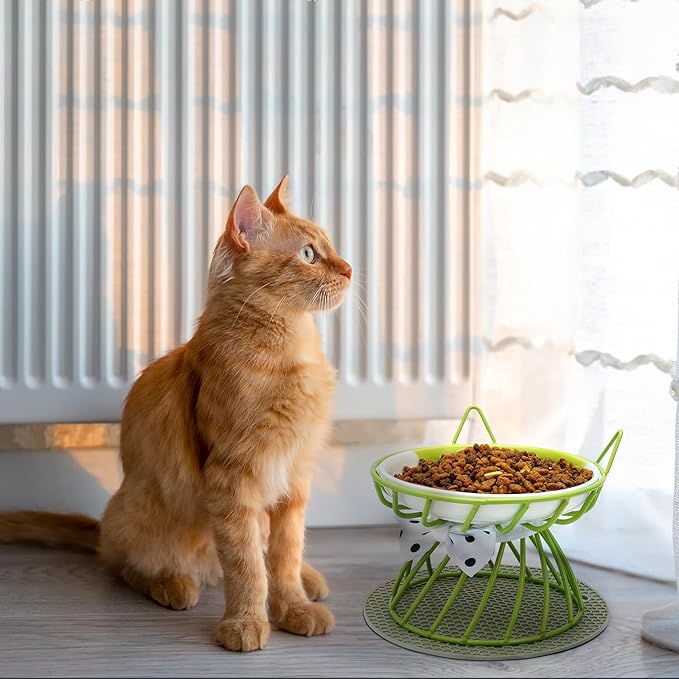 Tilted Elevated Cat Bowl, Food & Water Cat Bowl, Ceramic Pet Food Bowl for Flat Faced Cats, Protect Pet's Spine, Dishwasher Safe