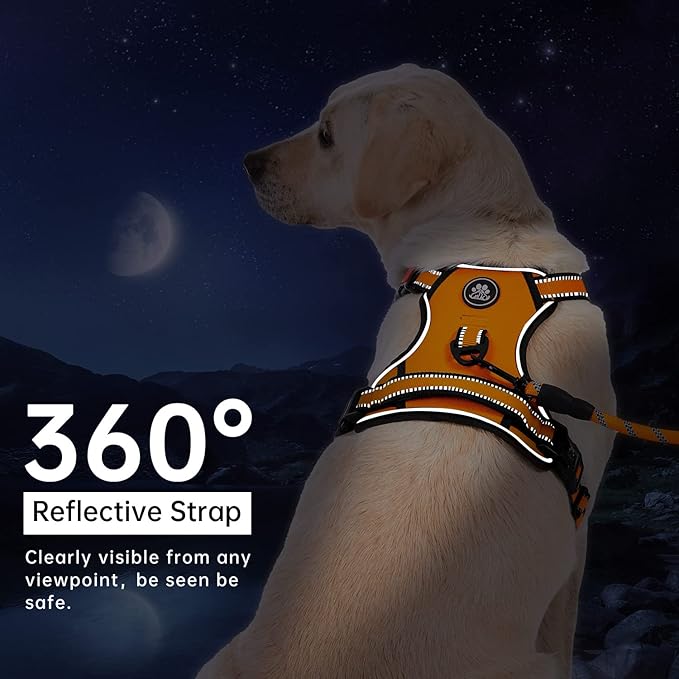 IVY&LANE No Pull Dog Harness for Small Dogs, Vest Harness with Leash, Safety Belt and Storage Strap, Fully Adjustable, 360° Reflective Strip, Soft Handle (Orange, S)