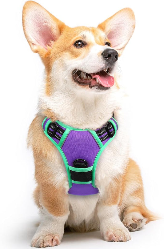Eagloo Dog Harness for Large Dogs, No Pull Service Vest with Reflective Strips and Control Handle, Adjustable and Comfortable for Walking, No Choke Harness with 2 Metal Rings, Purple & Green, M