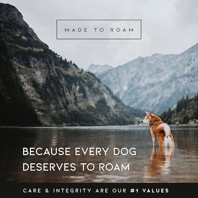 MADE TO ROAM Premium Explorer Harness - Y-Shaped Dog Harness with Adjustable Durable Nylon, Soft Padding, Metal Buckles and Leather Handle for Small, Medium, Large Dogs (Texas Flair, Size 6)
