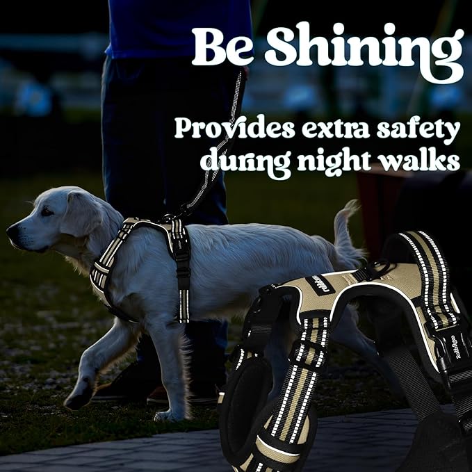 rabbitgoo Dog Harness Small Sized, No Pull Pet Harness with 3 Buckles, Adjustable Soft Padded Vest with Control Handle, Walking Reflective Pet Vest for Small Dogs, Beige, S