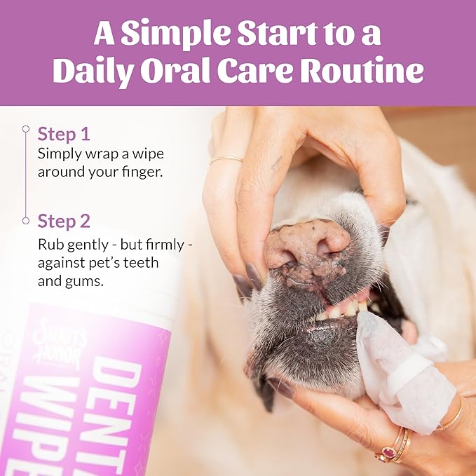 SKOUT'S HONOR Pet Dental Wipes - Fights Plaque and Tartar, Freshens Breath Fast, No Brushing Required, 50 Sheets, 2-Pack