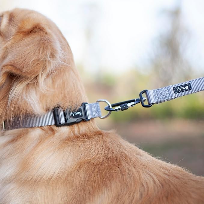 Hyhug Pets Solid Color Classic Regular Tough Basic Collar for Medium Dogs, Unique Design Adjustment Triglide Slide (Buckle) Can Attached Name Tag Accessories. (Medium, Sleet Gray)