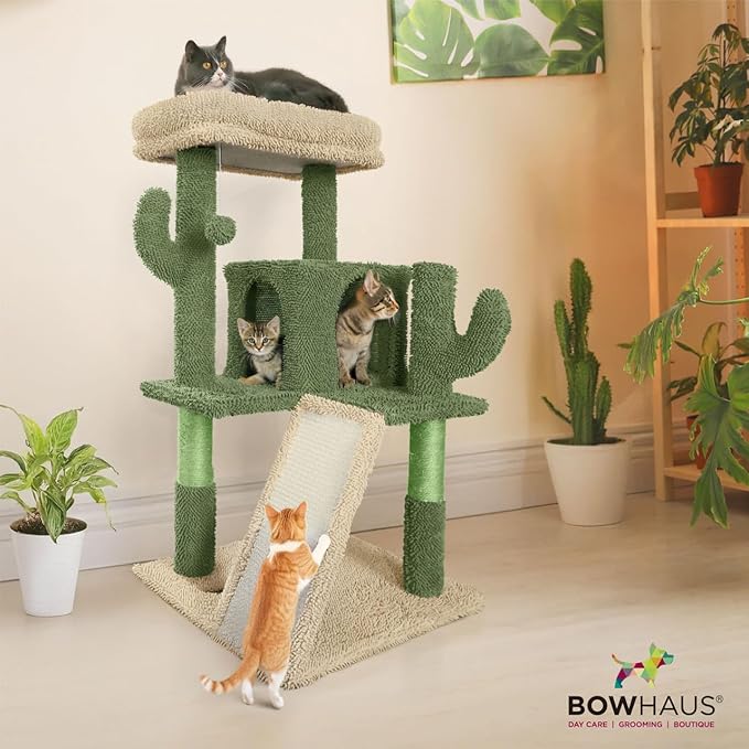 CAPHAUS Cactus Cat Tower for Indoor Cats, Cute 37-Inch Small Cactus Cat Tree w/Widened Perch for Large Cats & Kittens, Multi-Level Cat Activity Tree w/Scratching Posts & Ramp, 2-Door Cat Cave Condo