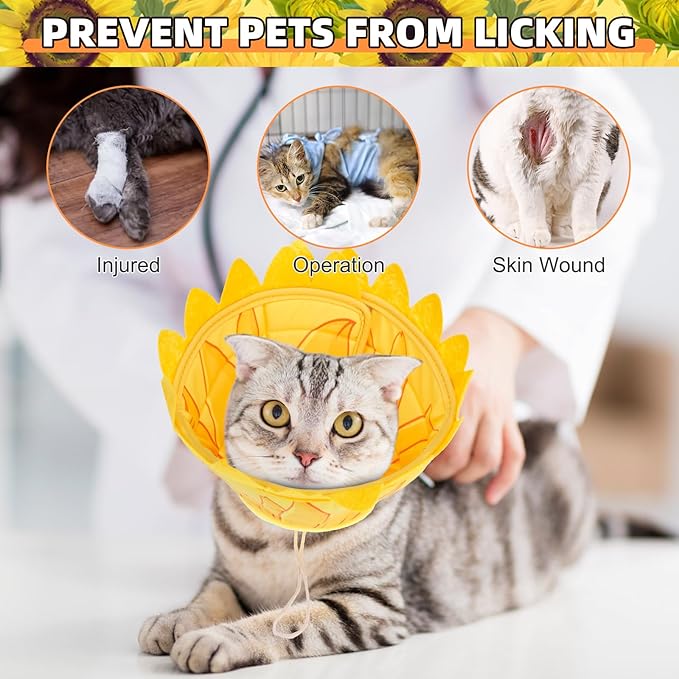 KOOLTAIL Cat Costume Cone Collar Soft, Adjustable Cat Cones to Stop Licking, Foldable Donut Water Resistant Pet Recovery Neck E Collars After Surgery,Elizabethan Collar for All Breeds Cats,Sunflower M