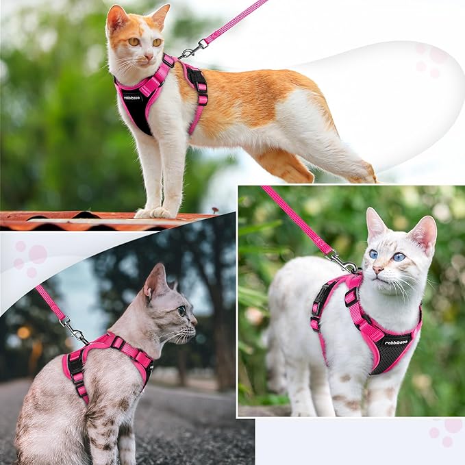rabbitgoo Cat Harness and Leash Set, Escape Proof Soft Adjustable Vest Harnesses for Outdoor Walking, Easy Control Breathable Kitten Jacket with Reflective Strips, Black & Rose Pink, XXS
