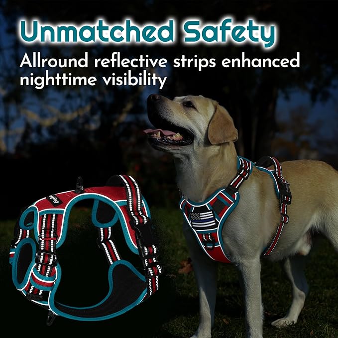 Eagloo Dog Harness Small Sized, Easy Wearing with 3 Buckles, Adjustable No Pull Pet Harness with 2 Rings for Walking, No Chock Reflective Soft Padded Vest with Control Handle, Red & Teal, S