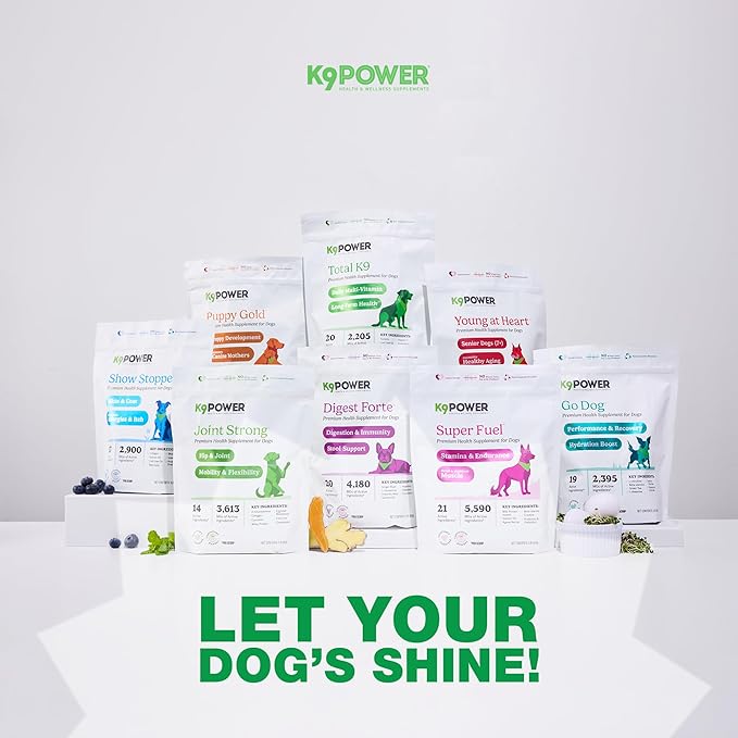 K9 Power Joint Strong Supplement 1 lb - Dog Joint Health & Mobility Support with Glucosamine, Curcumin, Chondroitin, Hip & Joint Pain Relief - Pack of 2
