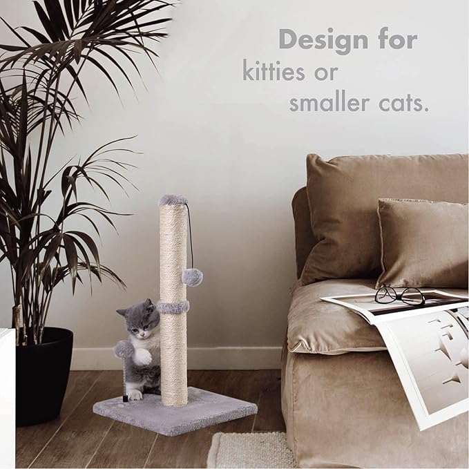 MECOOL Cat Scratching Post Premium Basics Kitten Scratcher Sisal Scratch Posts with Hanging Ball 22" for Kittens or Smaller Cats (22 inches for Kitten, Gray)