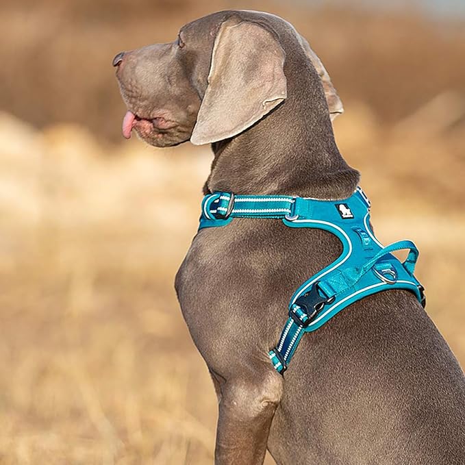 TRUE LOVE Dog Harness No Pull Nylon Reflective Pet Harness Adjustable Comfortable Control Step-in Brilliant Colors Truelove TLH56512 XS Blue