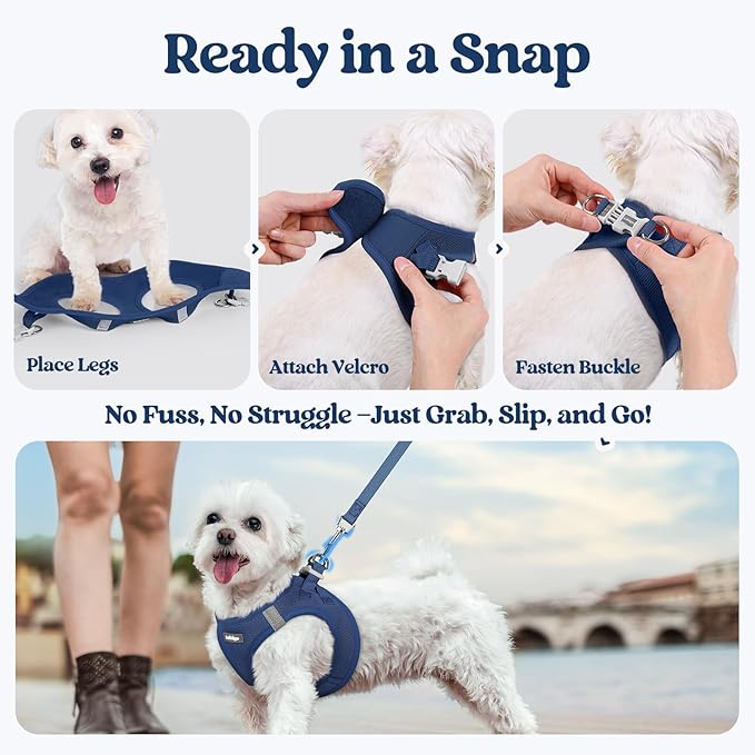 rabbitgoo Dog Harness Small Sized and Leash Set, Step in Soft Light Puppy Vest, Breathable Mesh Pet Harness, Reflective for Outdoor Safe Walking, Navy Blue XXL