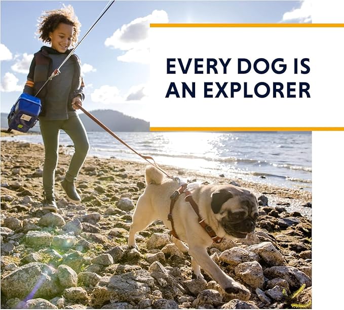 Ruffwear, Front Range Dog Harness, Reflective Soft Padded Everyday Harness with Dual Leash Clips, Adjustable and Lightweight Fit for Training or Walking for All Dogs, Red Clay, Large/X-Large