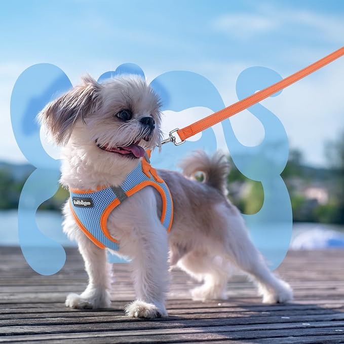 rabbitgoo Dog Harness Small Sized and Leash Set, Step-in Breathable Pet Harness, Soft Walking Reflective Puppy Vest for Small Dogs, Light Blue & Orange, XS