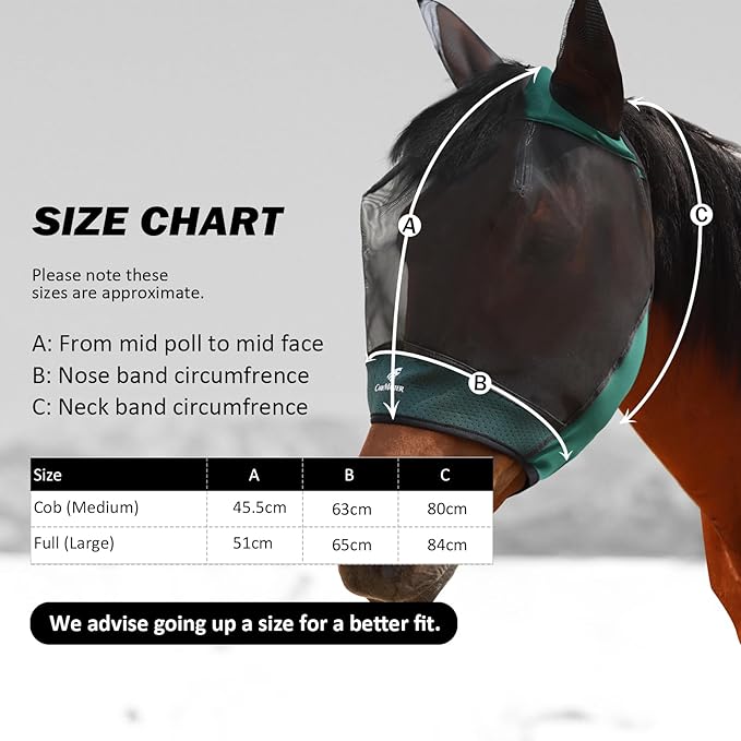 Horse Fly Mask Large Space Breathable UV Protection Equine Mask with Reflective Features on Ears Hunter Green M