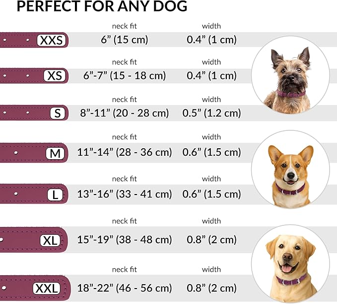CollarDirect Rolled Leather Dog Collar, Soft Padded Round Puppy Collar, Handmade Genuine Leather Collar Dog Small Large Cat Collars 13 Colors (11-14 Inch, Pink Textured)