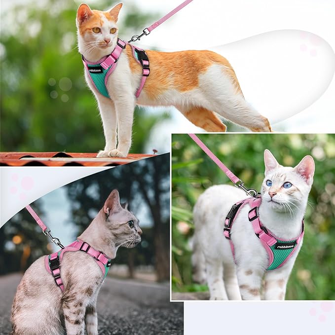rabbitgoo Cat Harness and Leash Set, Escape Proof Soft Adjustable Vest Harnesses for Outdoor Walking, Easy Control Breathable Kitten Jacket with Reflective Strips, Green & Pink, XXS