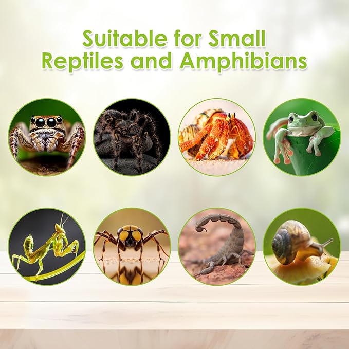 Reptile Terrarium Enclosure 8"x6"x4" Acrylic Tarantula Breeding Box Magnetic Hermit Crab Habitat Tank Transparent Jumping Spider Cage for Lizard Scorpion Sling Isopods Invertebrates Insect