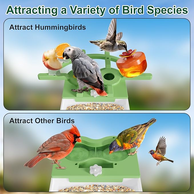 Smart Bird Feeder with Camera, AI Identify Birds Species Solar Panel, 2K HD Live Video Birdhouse, Instant Arrival Alerts, Hummingbird Feeder Weatherproof Design, Ideal Gift for Bird Lovers