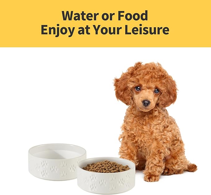 Ceramic Dog Bowl Set, 6.1" Dog Bowls with Anti-Slip Rings for Small Breed Dogs, 3.5 Cup Food and Water Bowls, Pet Dishes for Small-Sized Dogs, Microwave Safe (Double Bowls - White, 6 inch)