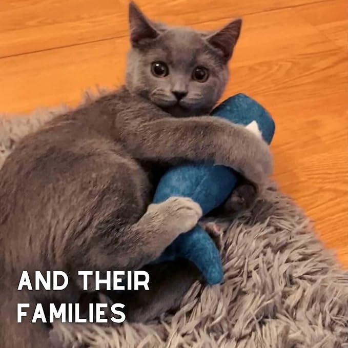 Big Fish Cat Kicker Toy - Refillable Catnip Matatabi Silvervine Filled and Help Relief Anxiety - Kitten Catnip Essentials Treats Supplies Large Interactive Chew for Indoor Cat (Blue)