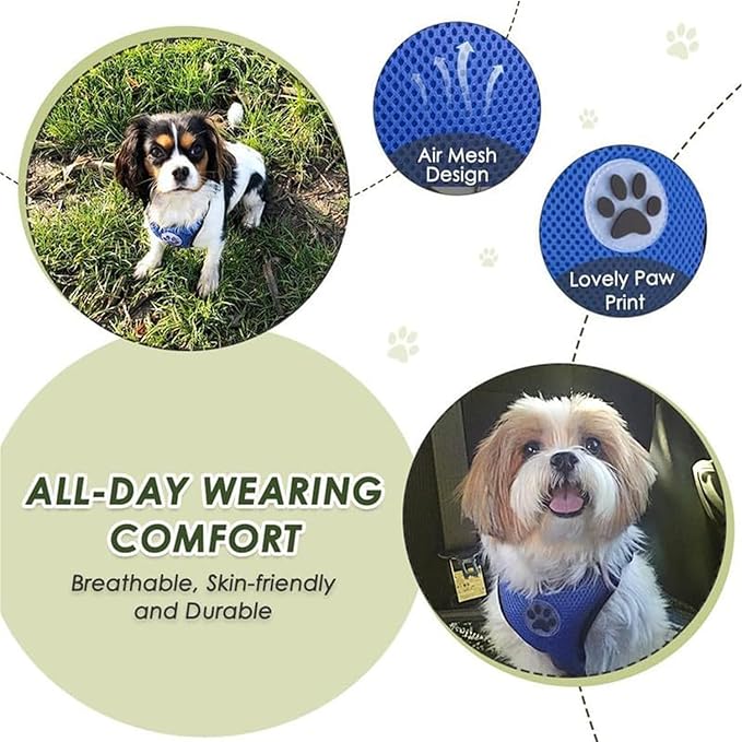 Lukovee Dog Seat Belt for Car, Adjustable Dog Car Harness for Large Medium Small Dogs, Soft Padded & Breathable Mesh Dog Seatbelt with Car Strap and Carabiner(Blue Double Clip,Small)