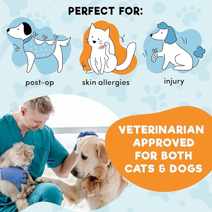 BENCMATE Inflatable Dog Cone Collar Alternative, Soft Dog Cone for Small Medium Large Dogs and Cats, Neck Recovery ECollar Donut Collar After Surgery (Small, Blue Donut)