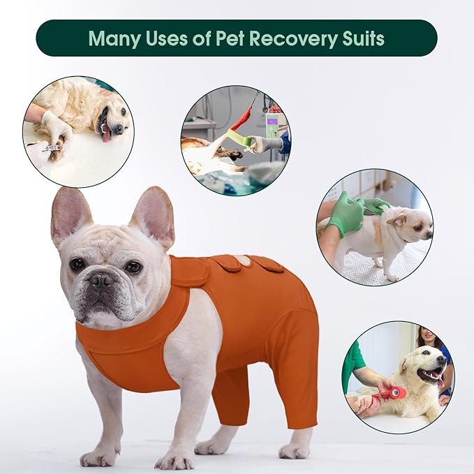 Kuoser Thigh Wound Protective Sleeve for Dogs - Dog Surgery Recovery Suit for Rear Legs - Brown XS