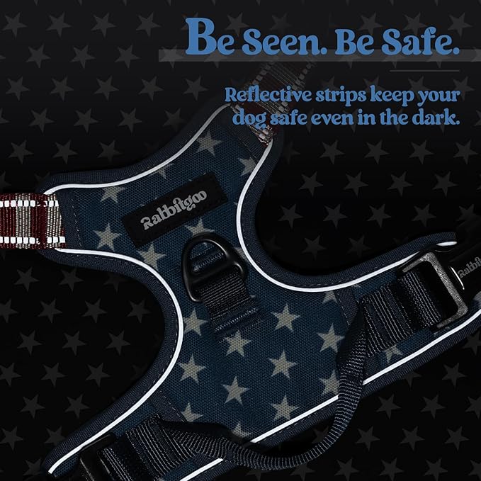 rabbitgoo Dog Harness No Pull with 2 Leash Clips, Adjustable Soft Padded, Reflective Oxford No Choke Pet Vest with Easy Control Handle for Large Dogs, Blue Star, S