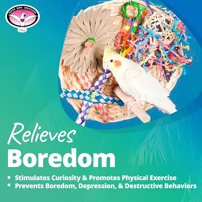 Super Bird Creations SB543 Busy Birdie Play Perch - Foraging Bird Toy, Small & Medium Bird Size - Parakeets, Cockatiels, Small Conures - Interactive Elements - Stimulating Playtime - 9.5" x 9.5" x 6"