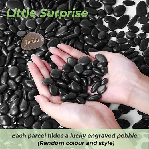 SIDONG 10 LB Black River Rocks, 0.3-0.5 Inches High Polished Pebbles for Indoor Plants, Aquarium Rocks Used in Fish Tank, Decorative Stones for Plants, Vases, Home DΓ©cor, Crafting, Garden Landscaping