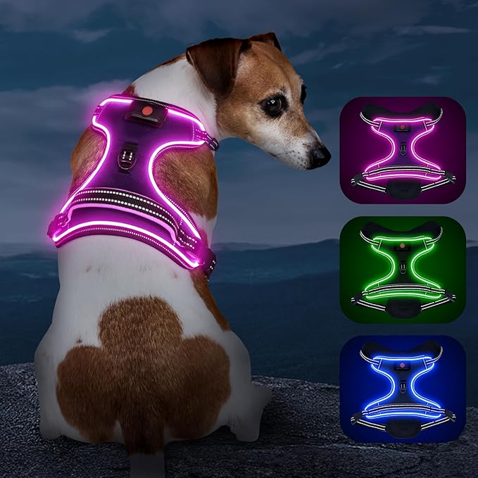 Light Up Dog Harness, No Pull LED Dog Harness with Handle, Rechargeable Lighted Safety Vest for Small Medium Large Dogs, Adjustable Soft Dog Lights for Night Walking
