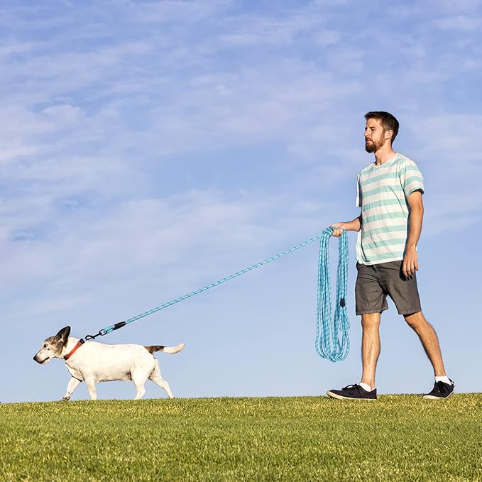 Long Dog Leash for Training 15Ft-Reflective Nylon Rope with Swivel Hook-Recall Agility Lead for Large Small Medium Dogs Outside Walking Hiking-Sky Blue Diam 1/2"