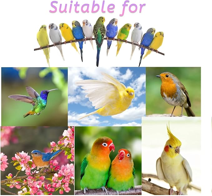 kathson Bird Seagrass Mat,Birds Swing Toy,Natural Grass Handmade Woven Hammock Hanging Parrot Lounger with Colour Toys for Lovebird,Cockatiel,Canary,Parakeets,Finch,Budgie (2 Pcs)