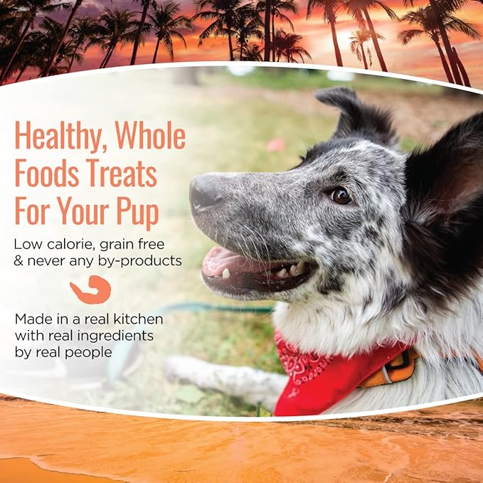 Smart Cookie All Natural Dog Treats - Shrimp & Coconut - Training Treats for Dogs with Allergies, Sensitive Stomachs - Soft Dog Treats, Chewy, Grain Free, Human-Grade, Made in USA - 5oz, Pack of 3