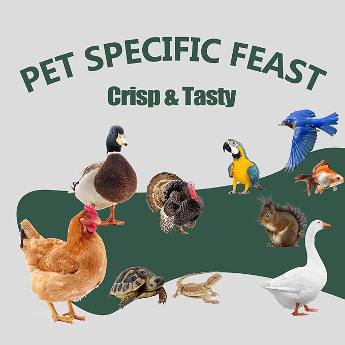 10LB Dried Black Soldier Fly Larvae for Chickens - Non-GMO Insect Larvae Treats More Calcium Than Mealworms, High Protein Chicken Feed for Backyard Poultry - BSFL, Bird Food, Chicken Worms