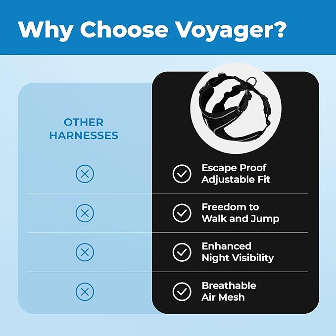 Voyager Escape Proof Cat Harness and Leash Set with Reflective Stitching, Neoprene Handle 5ft - Supports Small, Medium and Large Cats, Kittens for Walking by Best Pet Supplies - Black, S