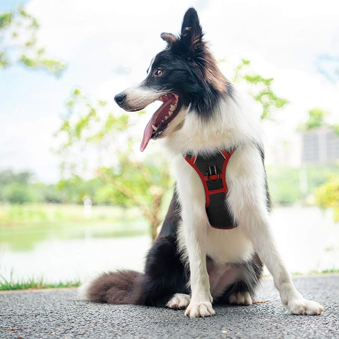 PHOEPET 2019 Upgraded No Pull Dog Harness, Reflective Adjustable Vest, with a Training Handle + 2 Metal Leash Hooks+ 3 Snap Buckles +4 Slide Buckles(XS, Black)