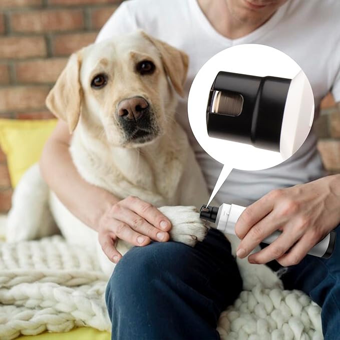 Pet Nail Grinder for Dogs - Quiet 2-Speed Type-C Rechargeable Dog Nail Trimmer, Low Noise Paw Grooming for Dogs & Cats (White)