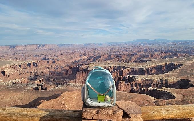Bird Traval Carrier Cage, Clear Space Capsule Astronaut Backpack to Carry Parakeet Cockatiel Parrot with Metal Tray Wood Perch, Vet Transport School Bag